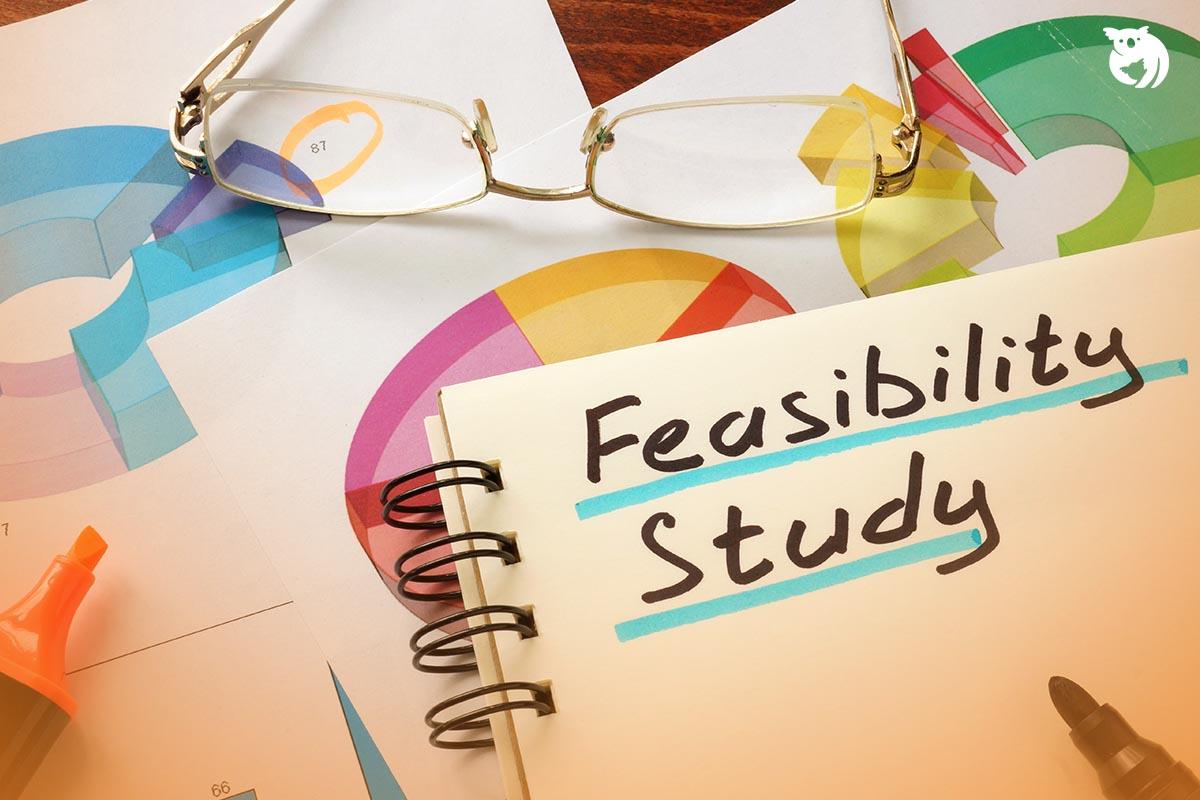 ECONOMIC FEASIBILITY STUDY